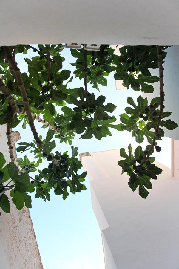 Vecchia Cantina - Le Camere Sannicola Exterior foto